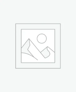 Uncategorised